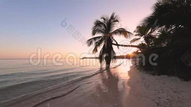热带岛屿日出。 棕榈树叶和沙岛海滩。 美丽海景视频..